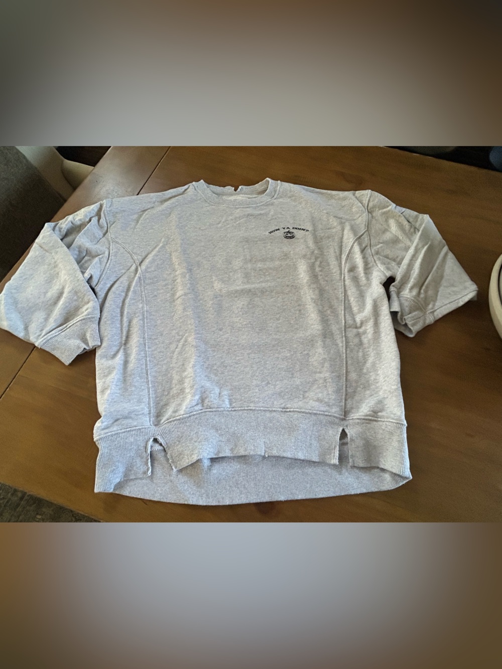 Aerie The Chill Light Gray Halloween Graphic Crewneck Sweatshirt